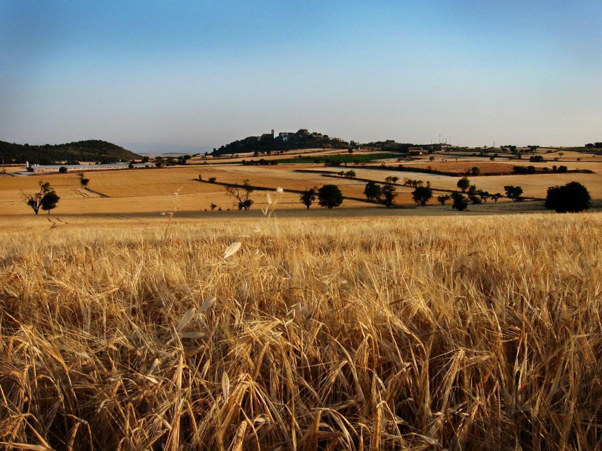 Affittacamere La Granja Del Besa Cubells Esterno foto